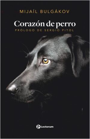Corazón de perro