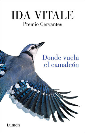Donde Vuela El Camaleón