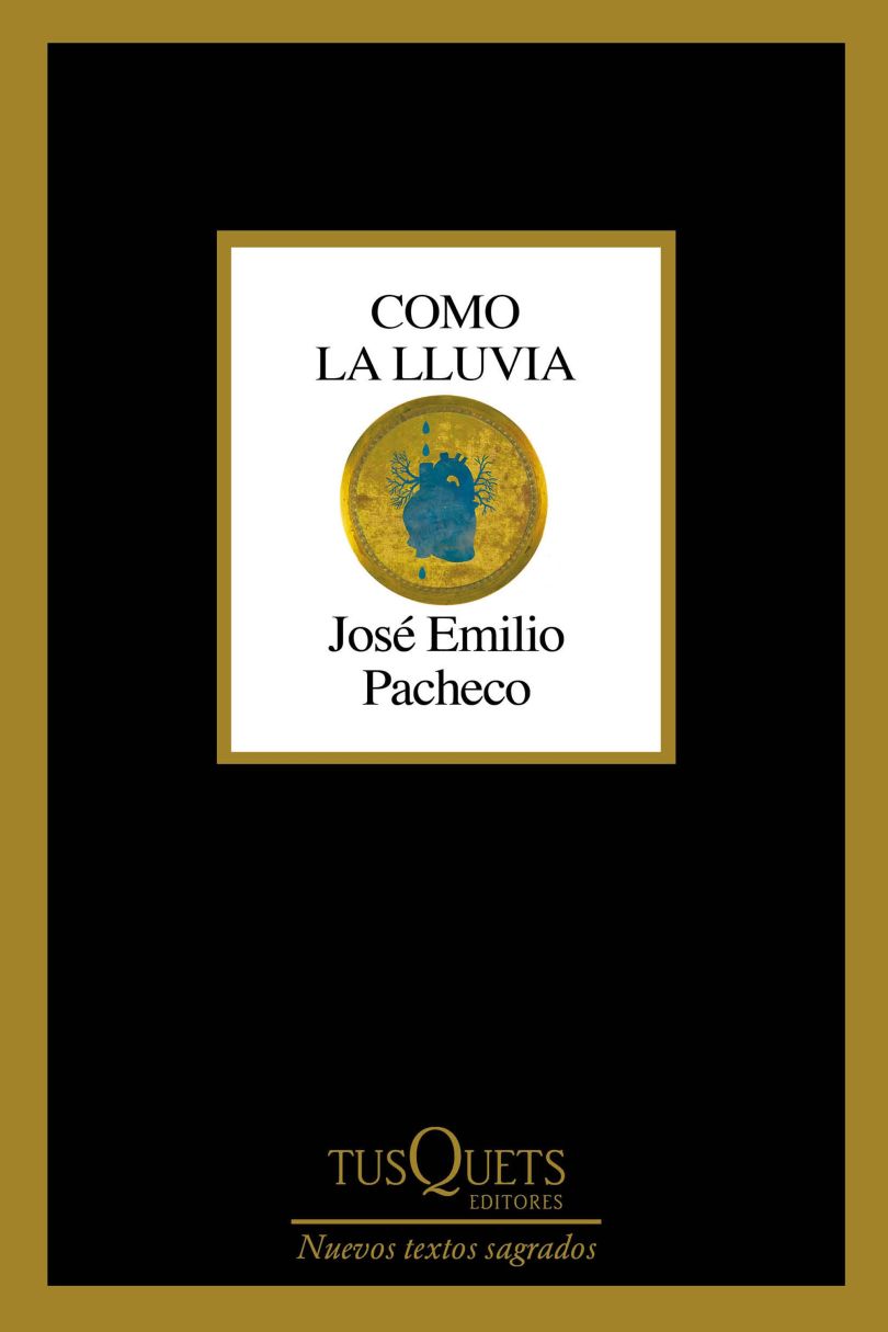 Como la lluvia