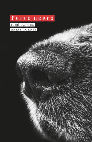 Perro negro