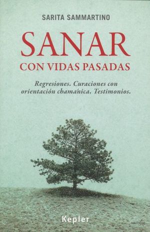SANAR CON VIDAS PASADAS