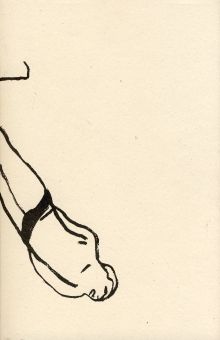Libro de las caídas
