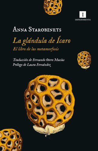 La glándula de Ícaro. El libro de las metamorfosis Starobinets, Anna