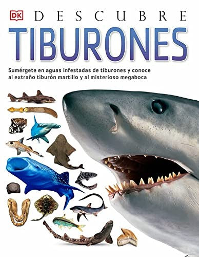 Tiburones, Descubre MACQUITTY, MIRANDA