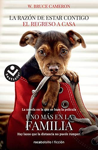 El regreso a casa / La razón de estar contigo 3