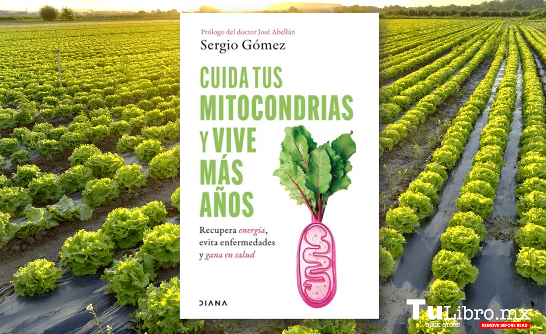 Cuida tus mitocondrias y vive más años: El secreto moderno para una vida larga y saludable