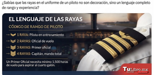 Charreteras de piloto: la historia y el significado de las rayas en el uniforme de aviación