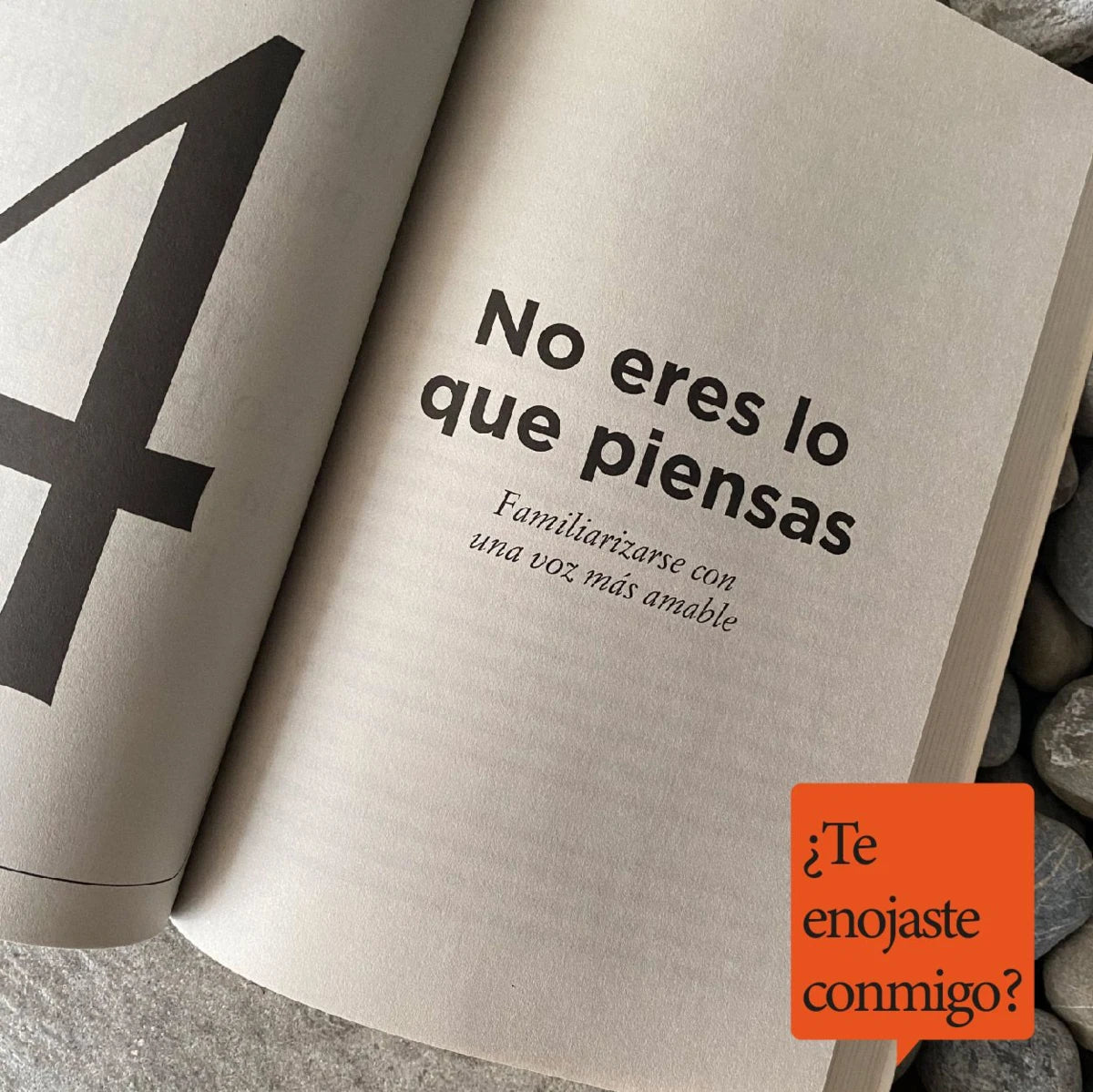 ¿Te enojaste conmigo? | Meg Josephson | Diana