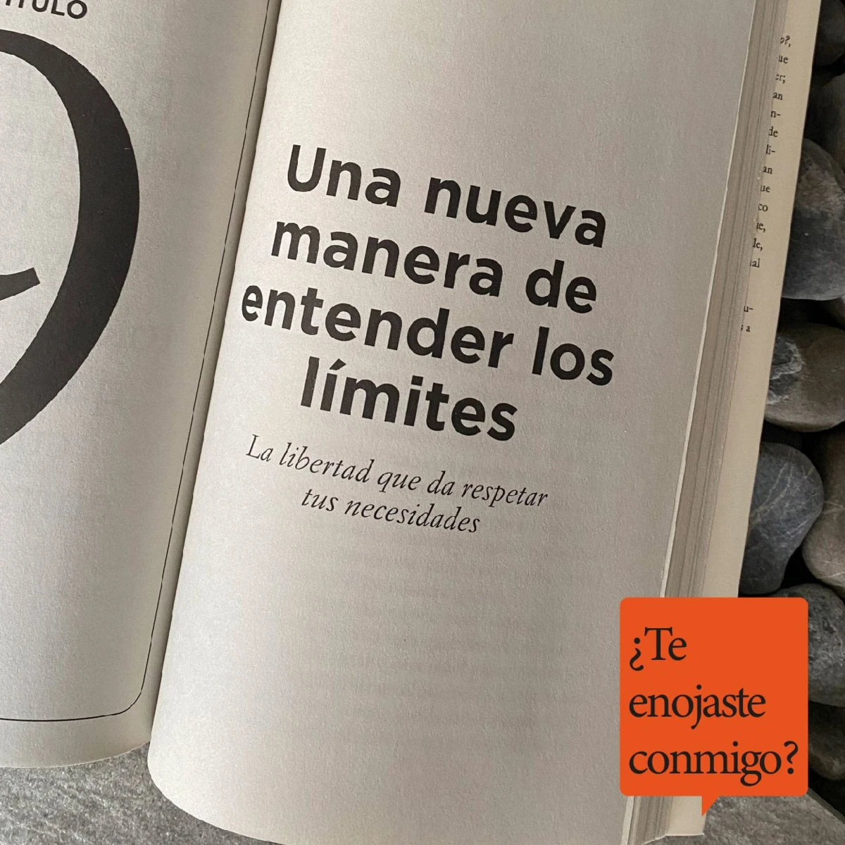 ¿Te enojaste conmigo? | Meg Josephson | Diana