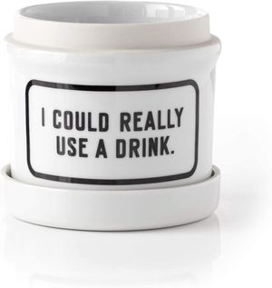 I Could Really Use A Drink Pl