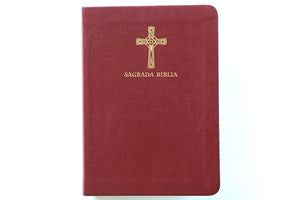 BIBLIA CATOLICA EN ESPAÑOL.SIMIL PIEL VI