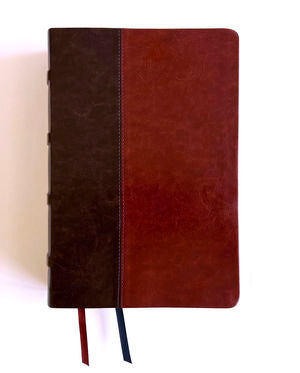 BIBLIA DE REFERENCIA DAKE RVR 1960