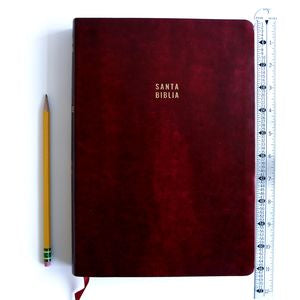 SANTA BIBLIA RVR LETRA S.G. VINOTINTO