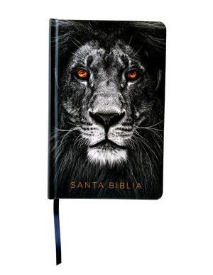 BIBLIA RVR IMAGENES TIERRA SANTA LEON CO