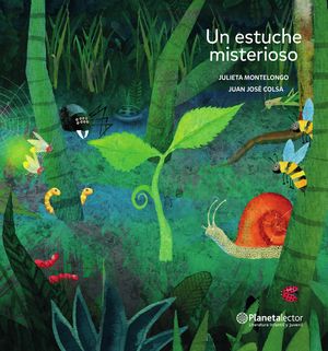 Un estuche misterioso