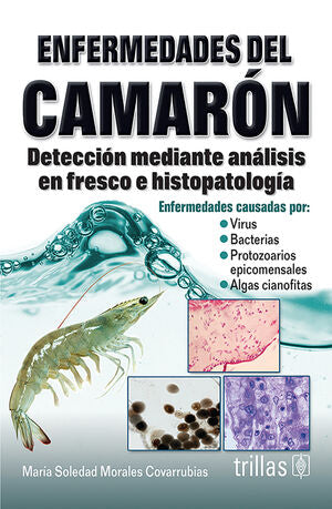 ENFERMEDADES DEL CAMARON (PRESENTACION RUSTICA) | MORALES COVARRUBIAS, MARIA SOLEDAD | Trillas