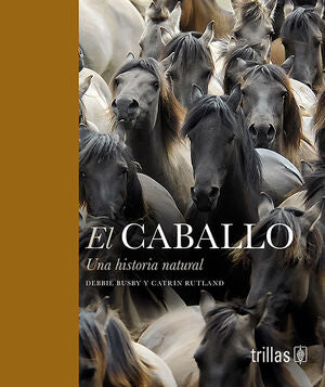 EL CABALLO | BUSBY, DEBBIE | Trillas