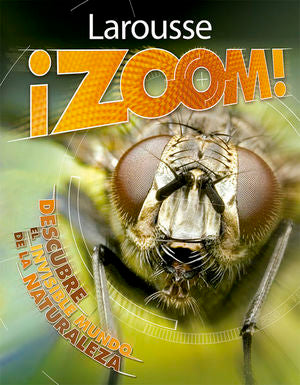 Zoom