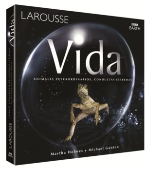 Vida