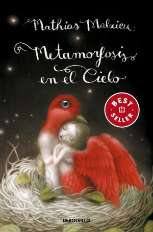 METAMORFOSIS EN EL CIELO