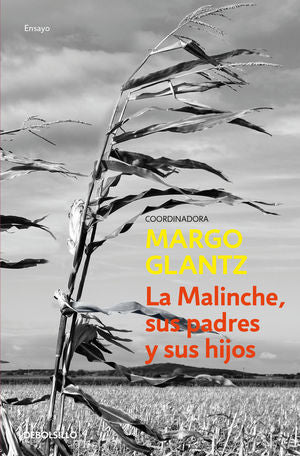 La Malinche, Sus Padres Y Sus Hijos