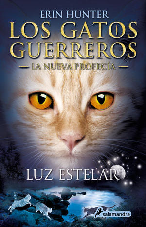 LUZ ESTELAR (GATOS G2-NUEVA PROF 4)