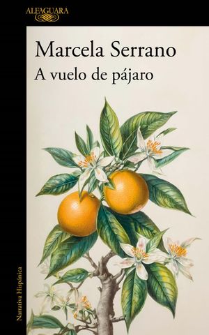 A VUELO DE PAJARO. CUADERNOS
