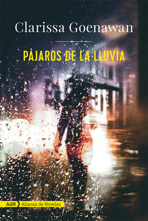 PAJAROS DE LA LLUVIA