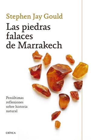 Las piedras falaces de Marrakech