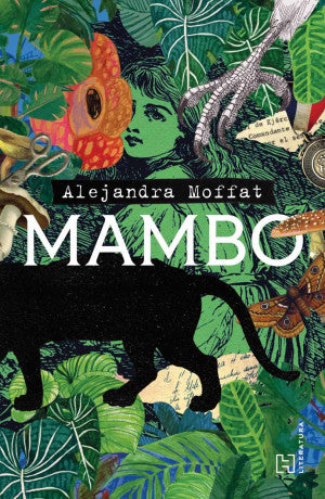 Mambo