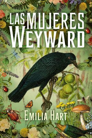 MUJERES WEYWARD (MEX)