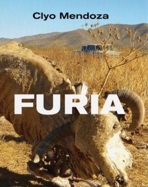 Furia