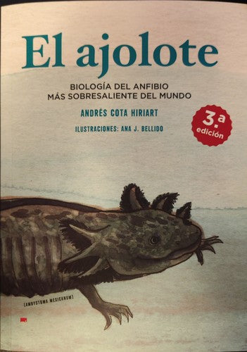 El ajolote: Biología del anfibio más sobresaliente del mundo [Paperback] Cota Hiriart, Andrés and Emiliano Becerril Silva