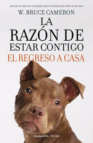 REGRESO A CASA (RAZON DE ESTAR CONTIGO 3