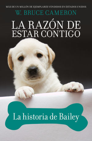 RAZON DE ESTAR CONTIGO, LA. LA HISTORIA