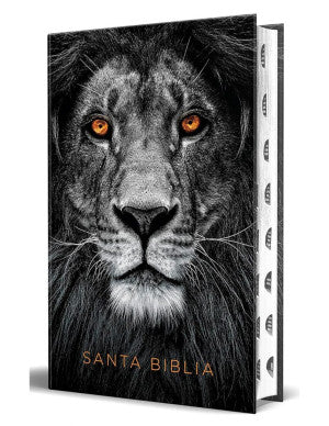 BIBLIA LEON SIMIL PIEL INDICE