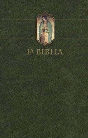 BIBLIA CATOLICA VERDE VIRGEN DE GUAD IND