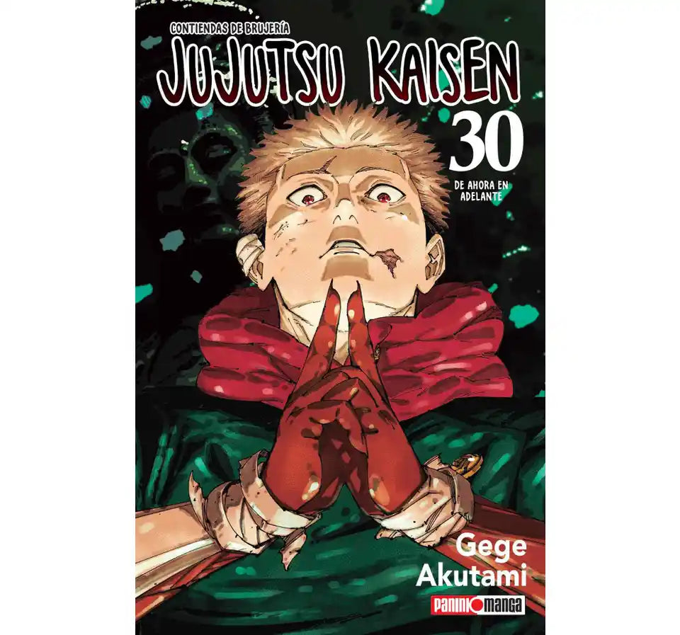 Jujutsu Kaisen 30