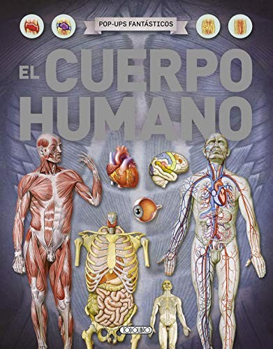 El Cuerpo Humano VV AA