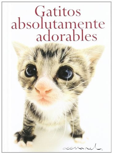 Gatitos absolutamente adorables [Paperback] Exley, Helen