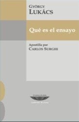 ¿ que es el ensayo ? [Paperback]