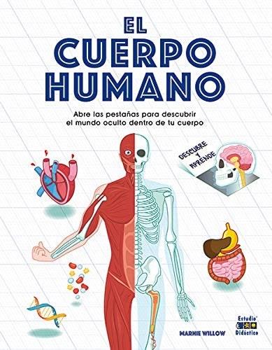 El Cuerpo Humano [Hardcover]