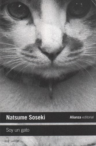 Soy un gato