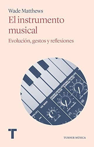 El instrumento musical. Evolución, gestos y reflexiones [Paperback] Matthews, Wade