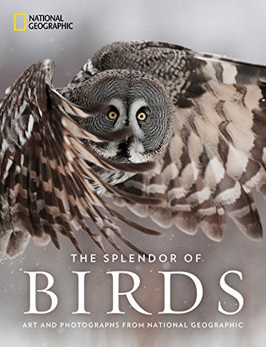 The Splendor of Birds: Art and Photographs From National Geographic [Hardcover] National Geographic