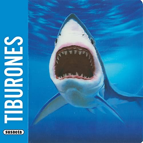 Tiburones Susaeta, Equipo