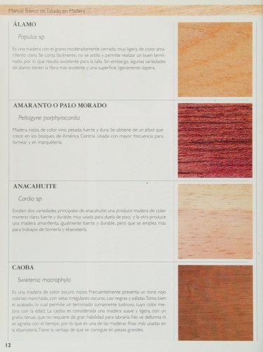 Manual Basico De Tallado En Madera Como Hacer Bien [Paperback] Shanti Lesur and TRILLAS, EDITORIAL