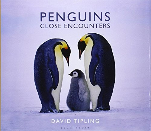 Penguins