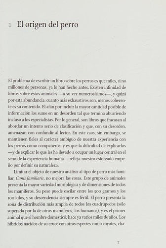Perro (Animal) [Paperback]
