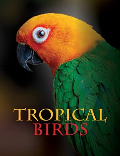 Tropical Birds [Hardcover] Jackson, Tom